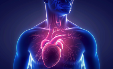 Human heart