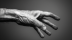 Hand and wrist