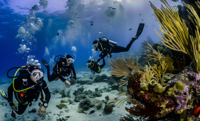 Group of divers