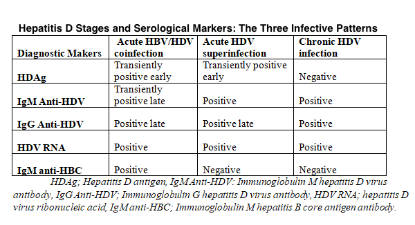 Hepatitis D Stages, Serological Markers, and the Three Infective Patterns. The
three infective patterns vary in appearance and levels of HDV RNA, HDAg, and
anti-HDV and HBV markers.