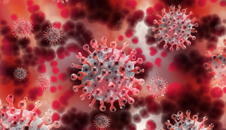 Depiction of Herpes Virus Type 8