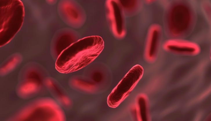 Abnormally large red blood cells