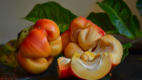 Ackee Fruit