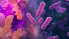 Gram-Negative Bacteria