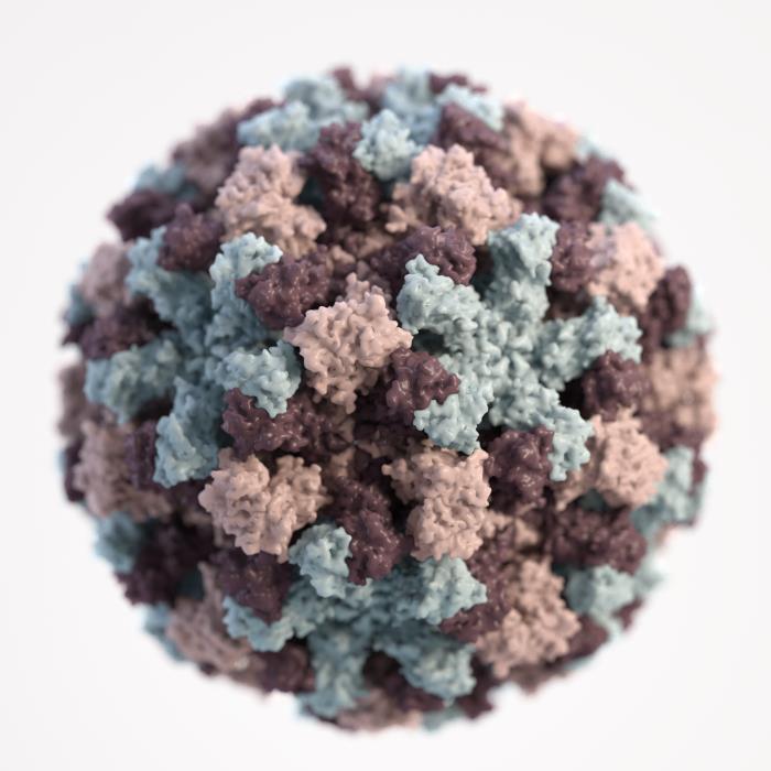 norovirus on glp 1 Norovirus