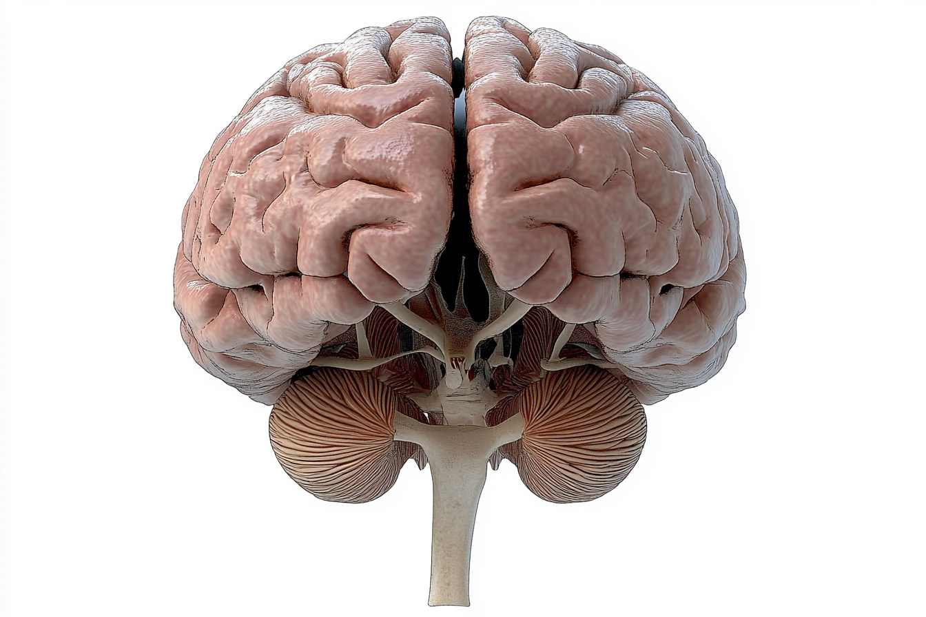 Frontal Lobe Syndrome - MD Searchlight