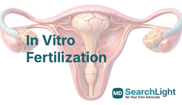 In Vitro Fertilization