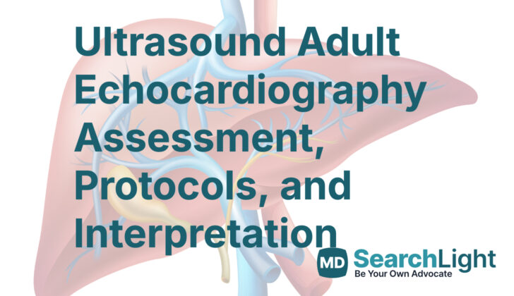Ultrasound Adult Echocardiography Assessment, Protocols, and Interpretation