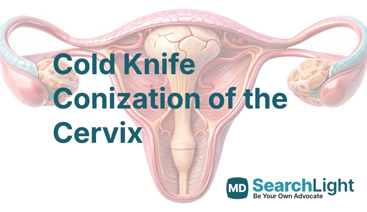cervix 
