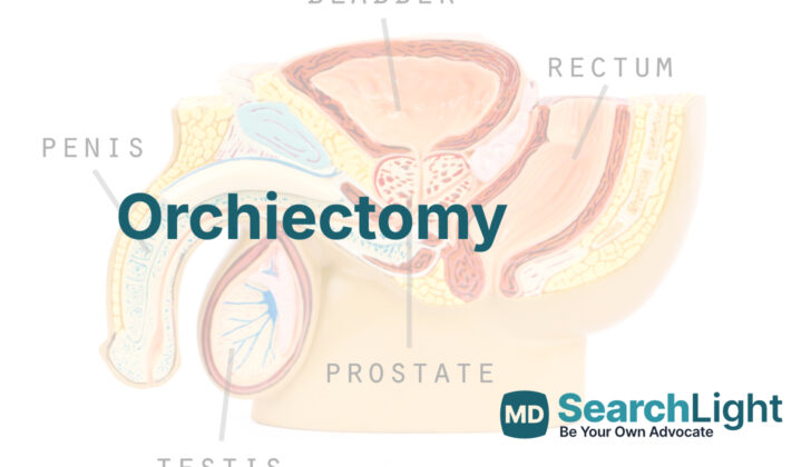Orchiectomy