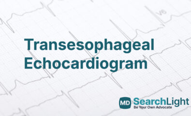 Transesophageal Echocardiogram