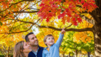 A child pointing a leaves to practice final /v/ words